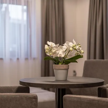 Miramonte Guest house