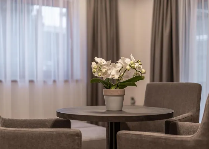 Miramonte Guest house