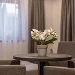 Miramonte 招待所
